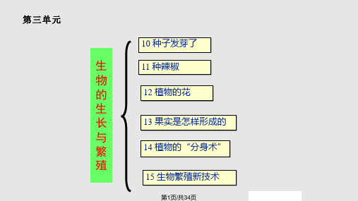 小学科学五年级下册培训PPT课件