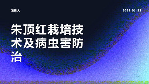 朱顶红栽培技术及病虫害防治