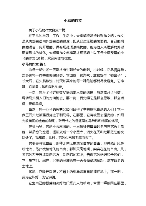 关于小马的作文合集十篇