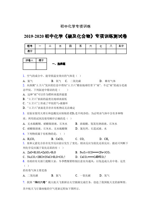 2019-2020学年初中化学《碳及化合物》专项训练模拟测试(含答案) (369)