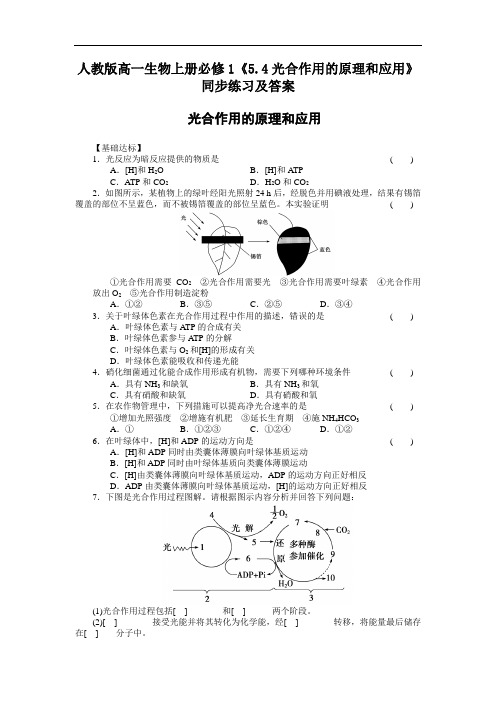 2020人教版高一生物上册必修1《54光合作用的原理和应用》【含答案】