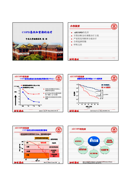 慢性阻塞性肺疾病治疗