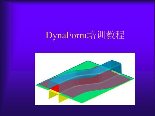 DynaForm培训教程 (2)