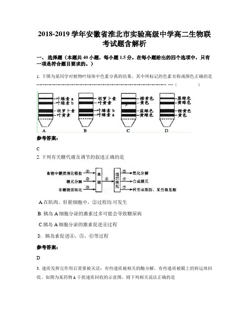 2018-2019学年安徽省淮北市实验高级中学高二生物联考试题含解析