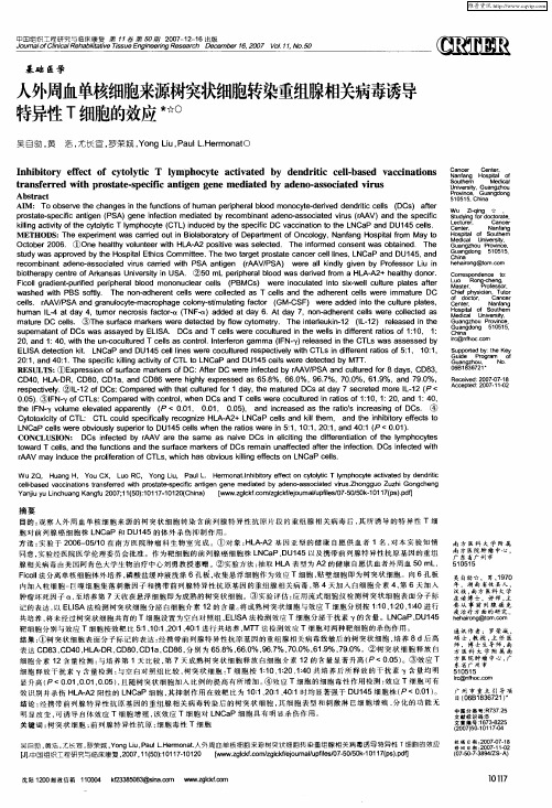 人外周血单核细胞来源树突状细胞转染重组腺相关病毒诱导特异性T细胞的效应