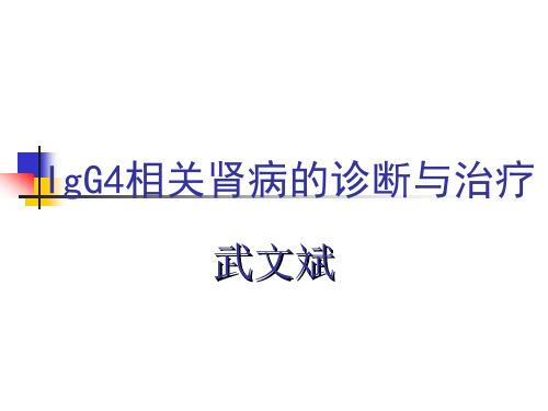 IgG4相关肾病的诊断