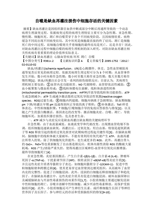 自噬是缺血再灌注损伤中细胞存活的关键因素