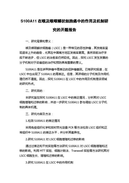 S100A11在喉及喉咽鳞状细胞癌中的作用及机制研究的开题报告