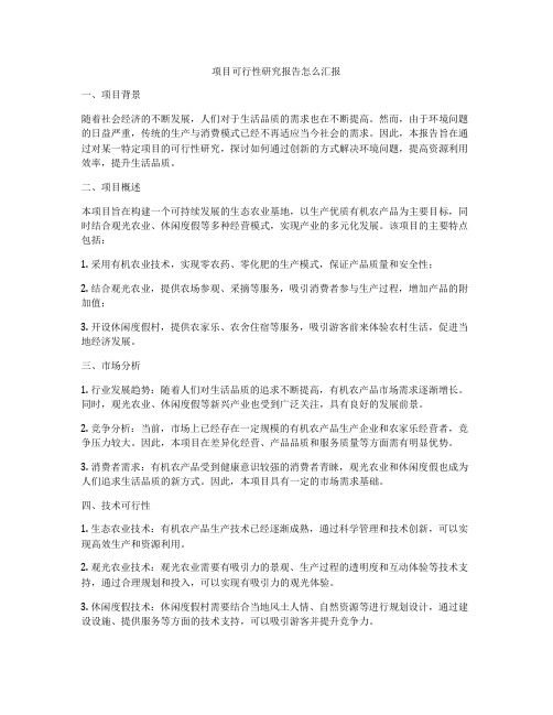 项目可行性研究报告怎么汇报