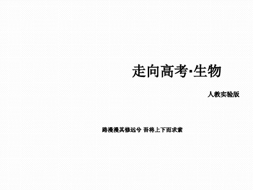 高三生物复习课件 必修一 第4单元 单元整合探究  35张