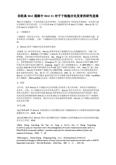 非经典Wnt通路中Wnt-11对于干细胞分化发育的研究进展