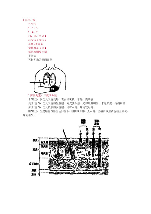 烧伤 Microsoft Word 文档