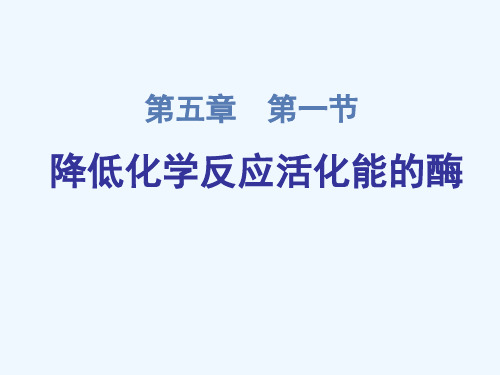 高一人教版必修生物课件——第五章第一节降低化学反应活化能的酶