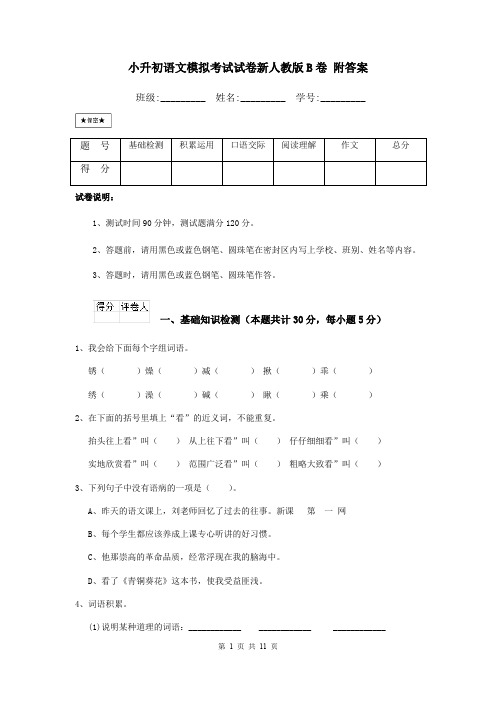 小升初语文模拟考试试卷新人教版B卷 附答案