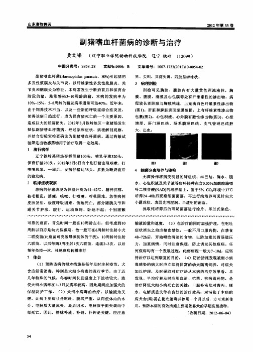 副猪嗜血杆菌病的诊断与治疗