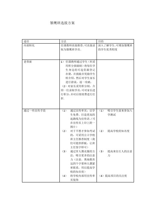 雏鹰班策划