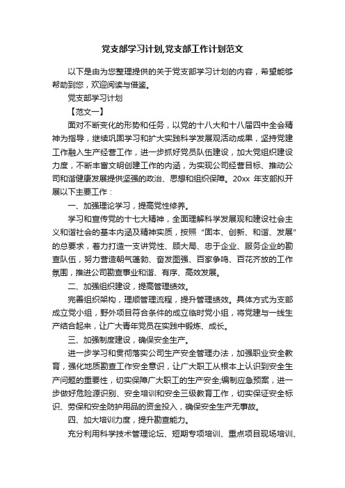 党支部学习计划,党支部工作计划范文