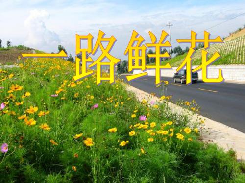 《一路鲜花》PPT课件2