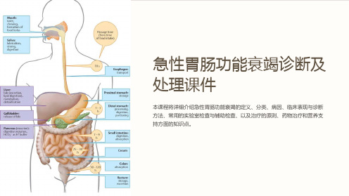 急性胃肠功能衰竭诊断及处理课件