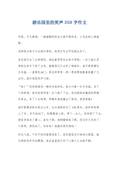 游乐园里的笑声350字作文