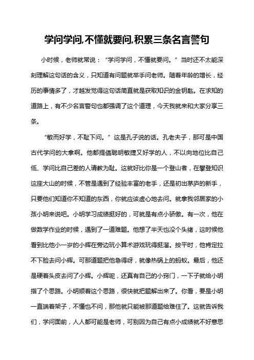 学问学问,不懂就要问,积累三条名言警句