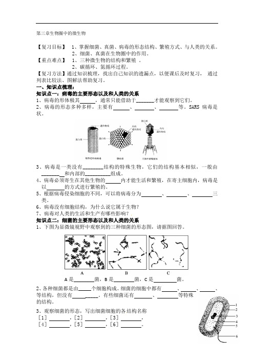 济南版生物七年级上册第三章生物圈中的微生物复习课教案附分层练习题教学反思