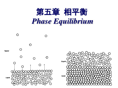 物理化学-相平衡讲义1