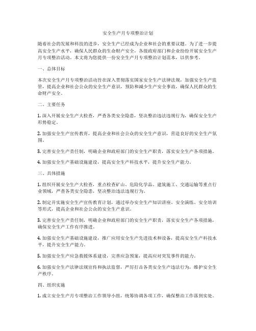 安全生产月专项整治计划