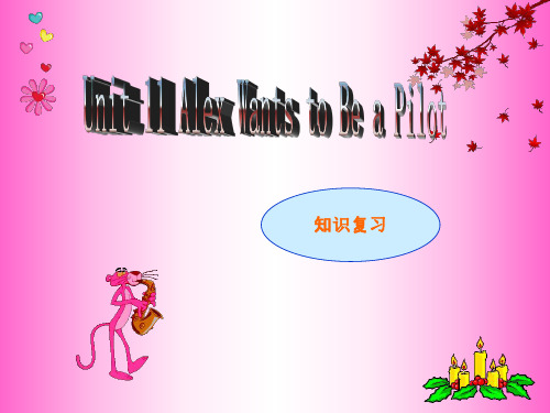 英语：Unit-11-《Alex-Wants-to-Be-a-Pilot》课件(1)(北京课改版七年级下)