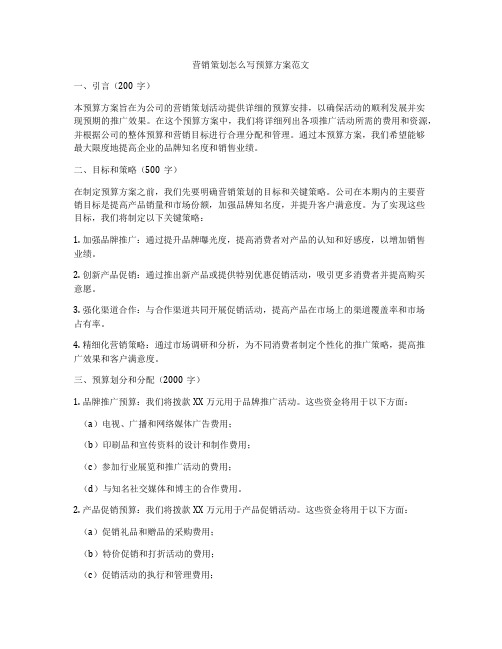 营销策划怎么写预算方案范文