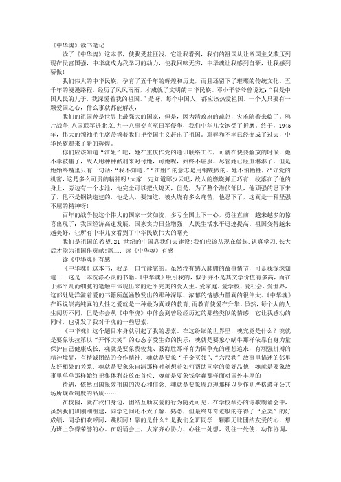 《中华魂》读后感400字