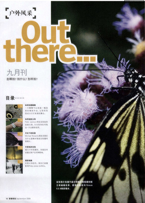 马上行动…… 拍摄蝴蝶