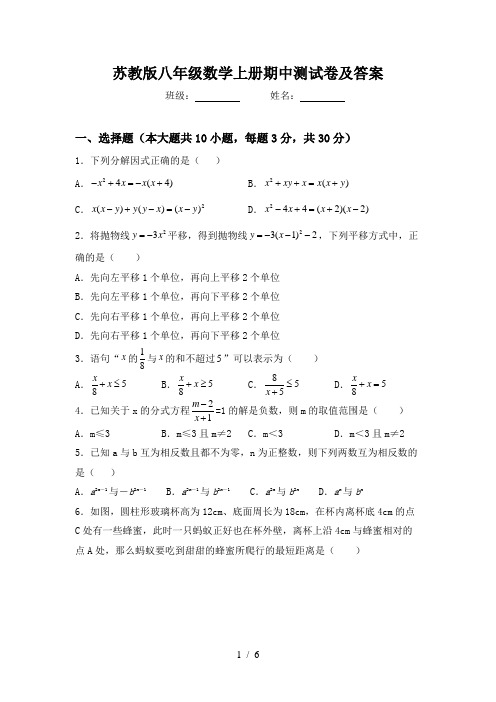 苏教版八年级数学上册期中测试卷及答案
