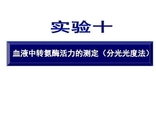 10转氨酶测定