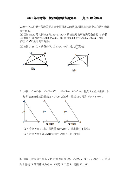 2021年九年级中考第三轮冲刺数学专题复习：三角形 综合练习 