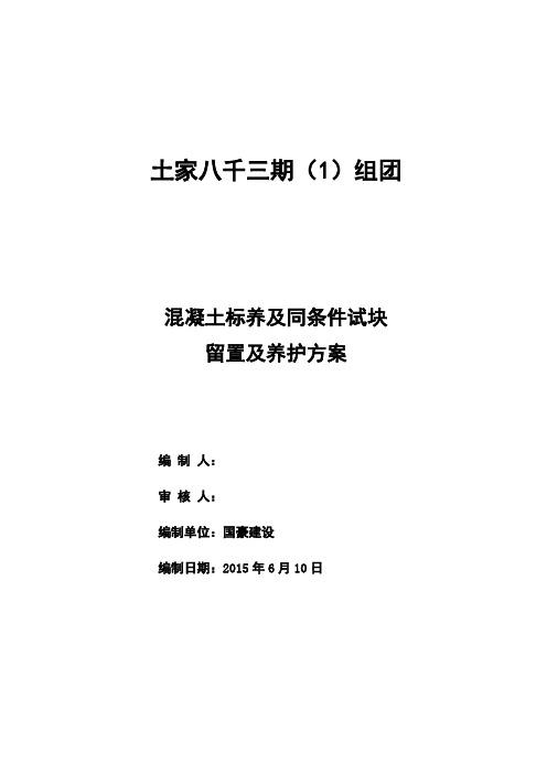 砼试块同条件、标养留置与养护方案设计