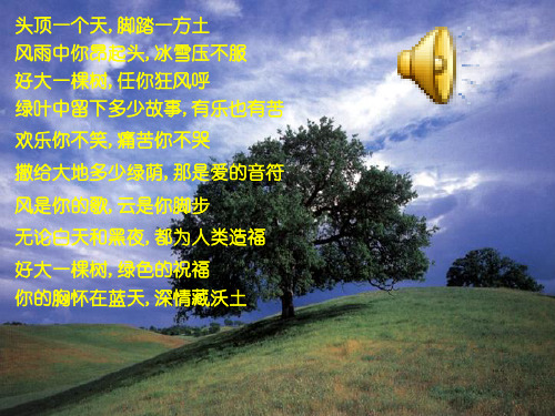 《那树》ppt