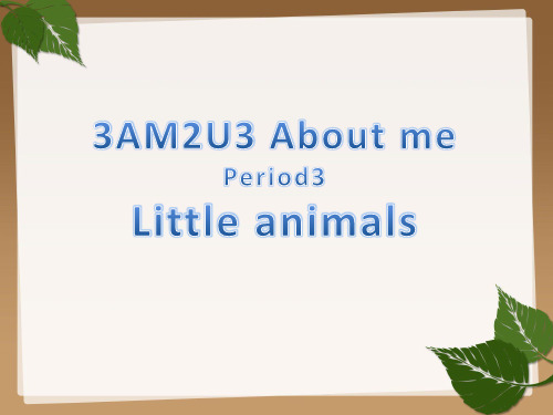 上海小学英语课件3AM2U3P3 Little animals