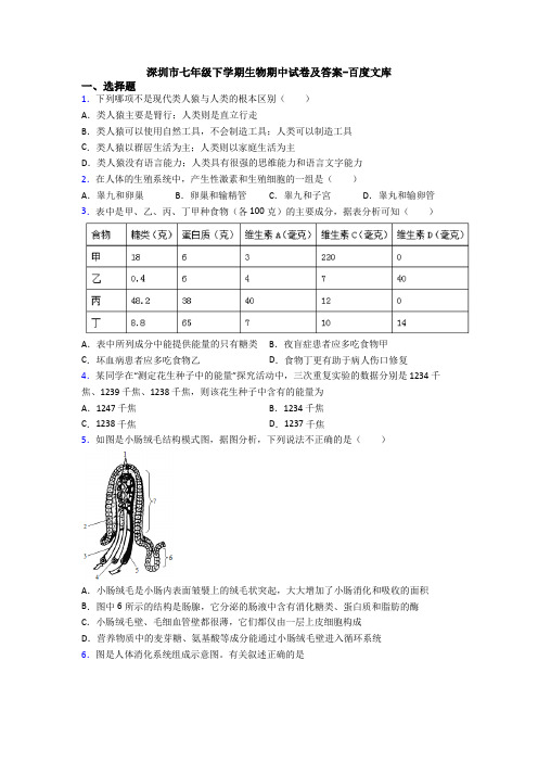 深圳市七年级下学期生物期中试卷及答案-百度文库