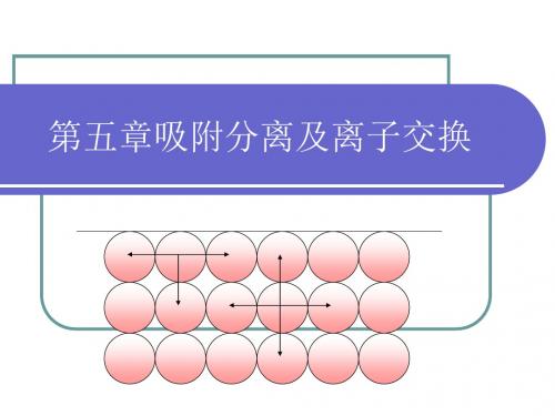 生物分离工程第五章吸附分离及离子交换