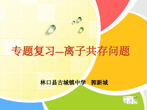 中考化学专题复习———离子共存问题 17张PPT