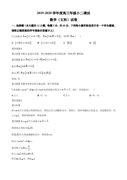 河北省衡水中学2020届高三年级小二调考试数学文科试卷(解析版)