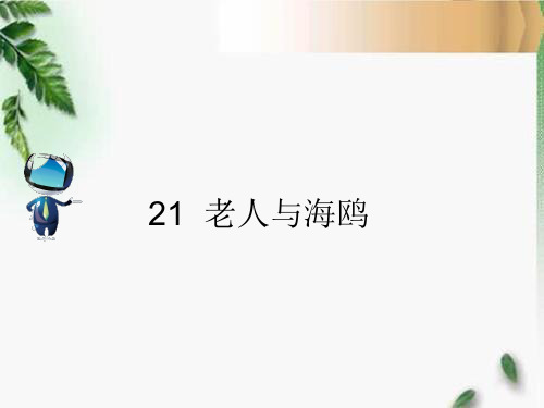 人教六年级语文上册21 《老人与海鸥》课文原文