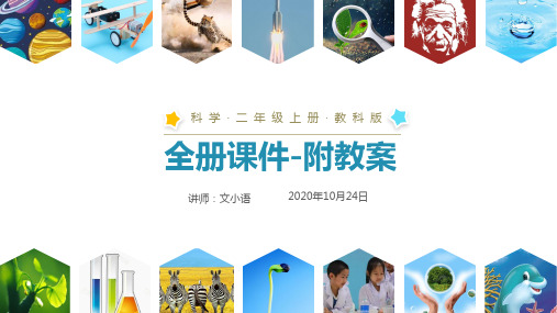 教科版小学科学二年级上册全册课件(附教学设计)