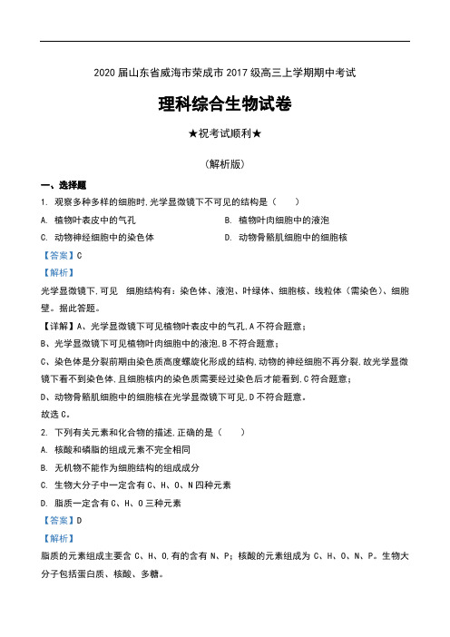 2020届山东省威海市荣成市2017级高三上学期期中考试理科综合生物试卷及解析