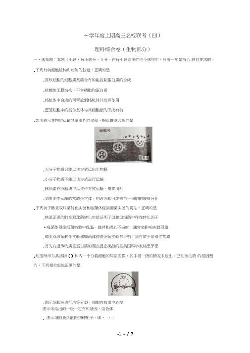 河南省名校联考2019届高三生物上学期联考试题四2019050302103