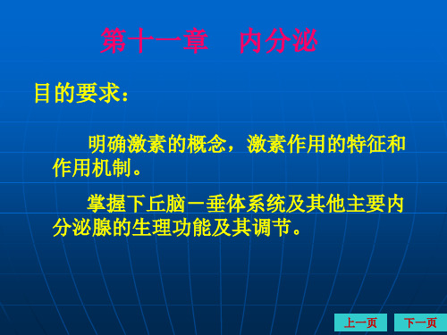 动物生理学第十一章内分泌