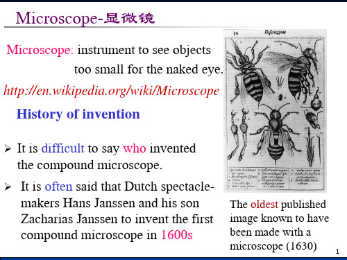 光学显微及电子成像ppt课件