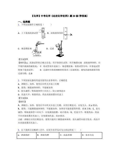 【化学】中考化学《走进化学世界》题20套(带答案)