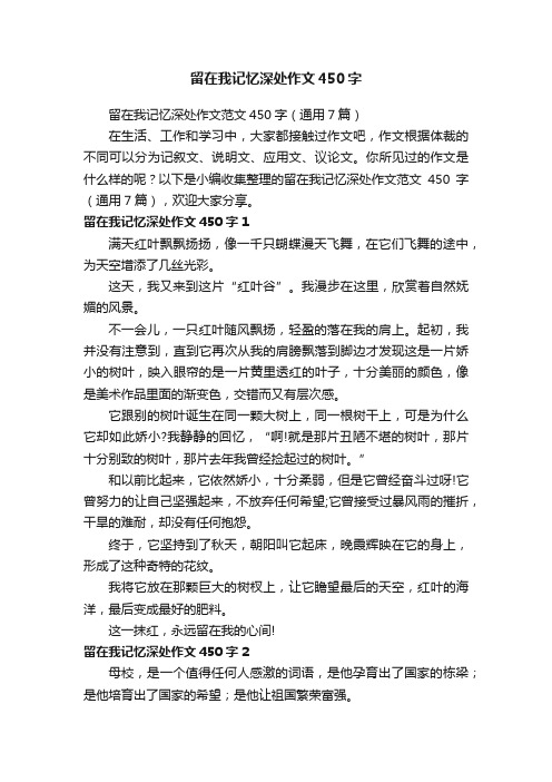 留在我记忆深处作文450字